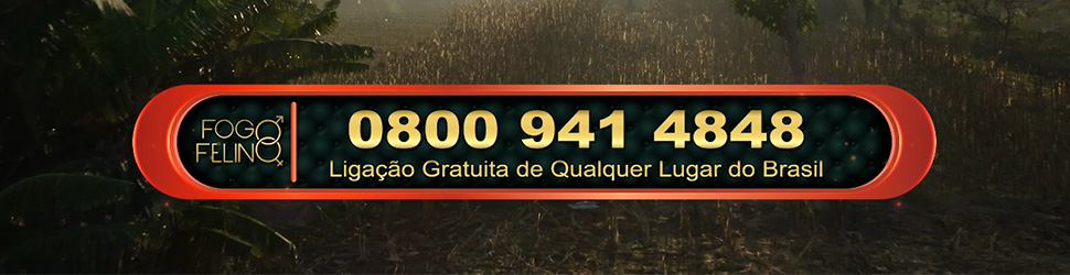 FOGO-FELINO-970X250