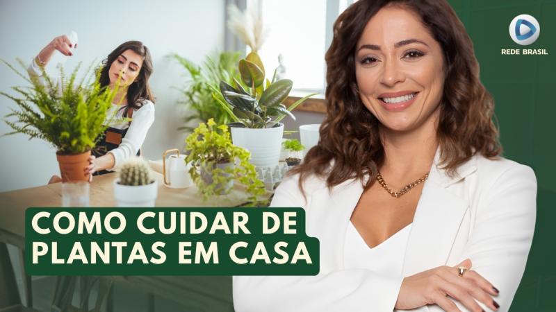  CUIDADO COM PLANTAS DE AMBIENTES INTERNOS: GUIA COMPLETO E FÁCIL | PAPO EM DIA